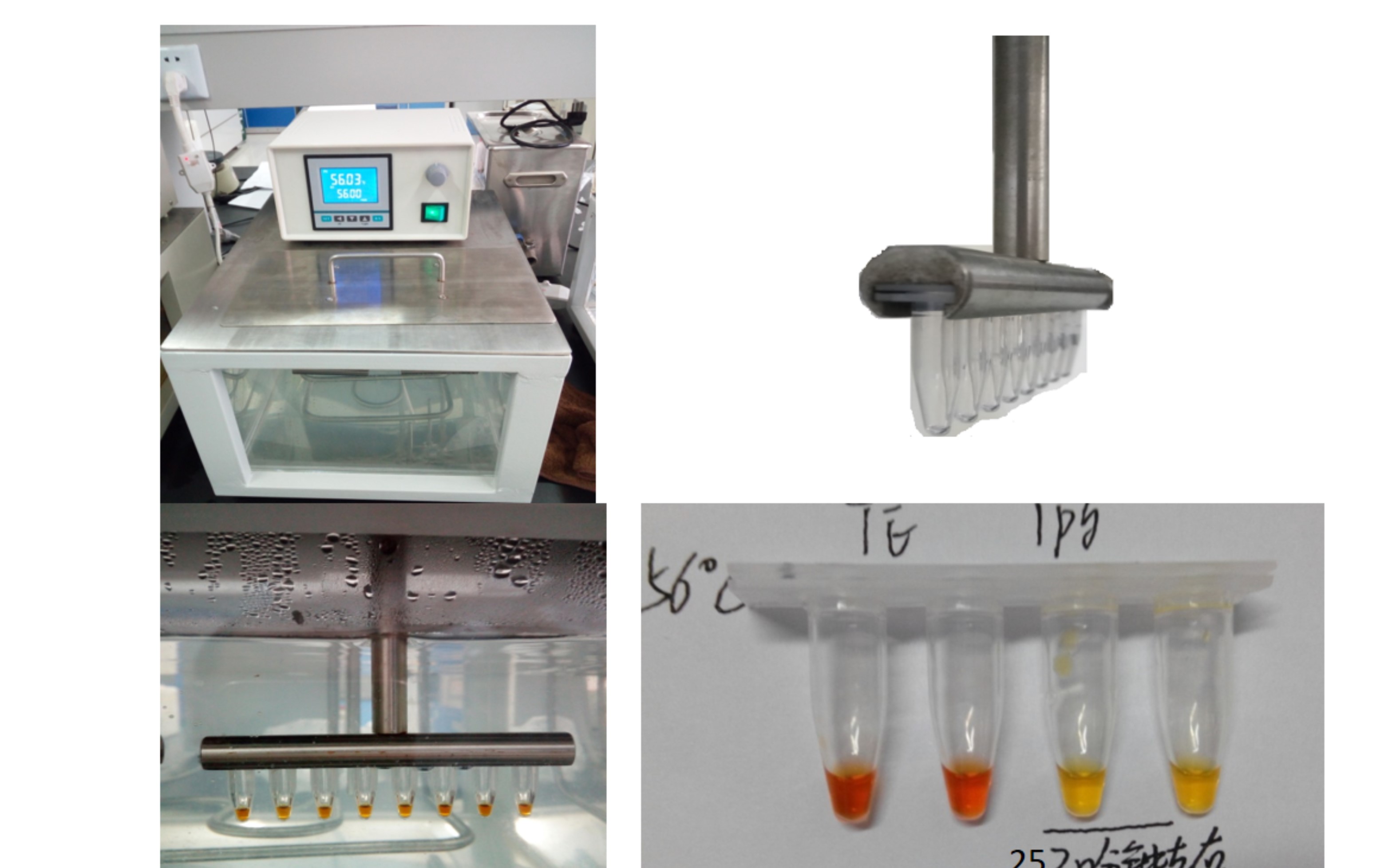 河南省食品安全生物標識快檢技術重點實驗室 引領生物制品技術開發新篇章